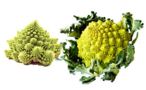 cauliflower-veggie