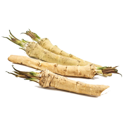 horseradish