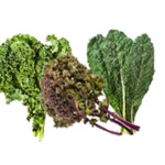 kale-veggie