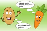 potato-carrot-veggie