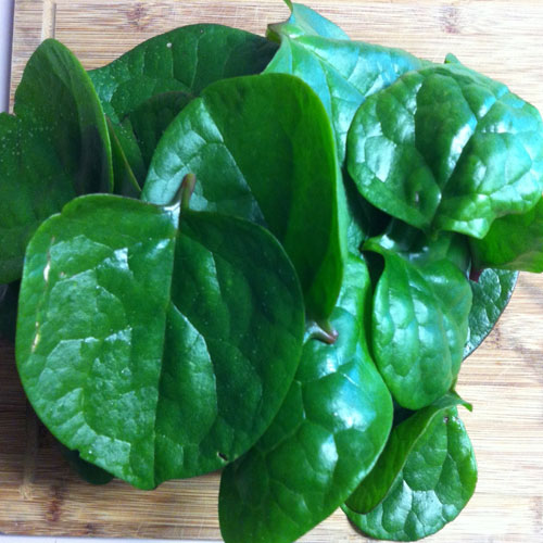 spinach-veggie