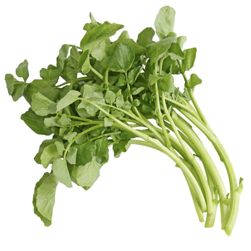 watercress