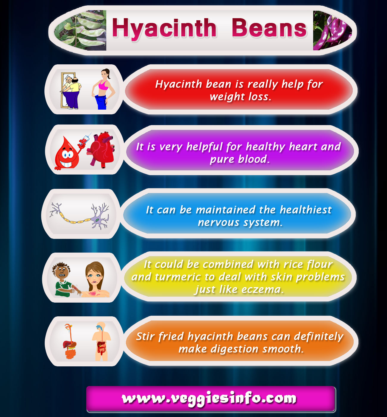 hyacinth-bean-aspects-and-its-medicinal-uses-veggies-info-veggies-info