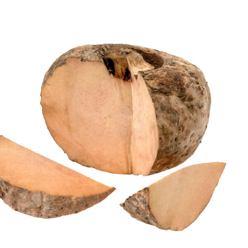 Elephant Foot Yam Health Benefits