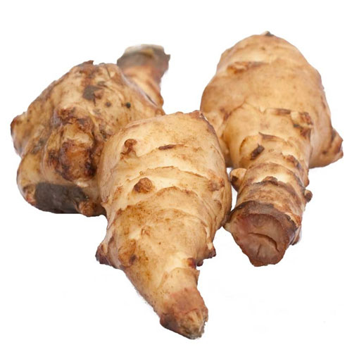 Jerusalem Artichoke Root Vegetable Medicinal Uses Veggies Info