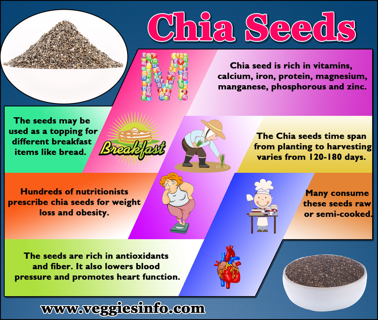 Chia Aspects And Its Interesting Nutrition Facts Veggies Info throughout The Most Stylish along with Beautiful nutrition facts chia seeds pertaining to Desire