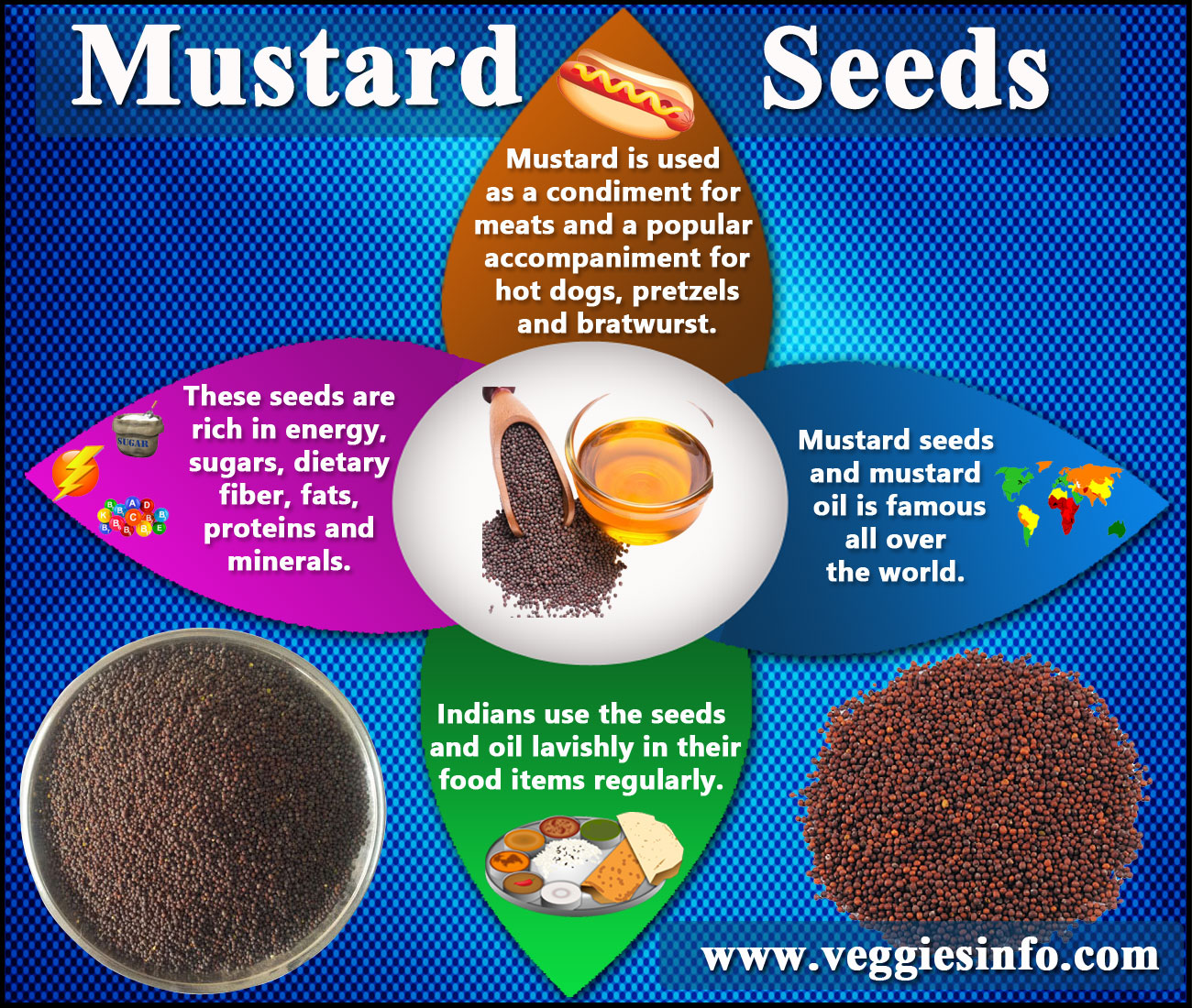 mustard seed germination experiment