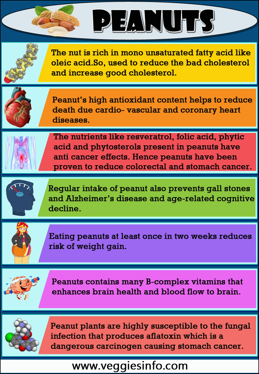 Peanuts Nutrition Values and its Health Information Veggies Info