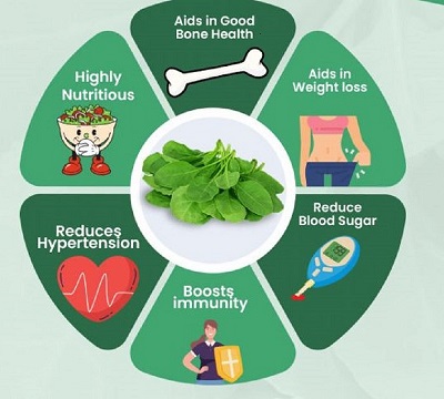 Spinach Health Benefits