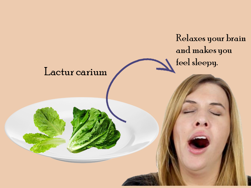 Lettuce Helps you to sleep better since it is one among the most sought after greens