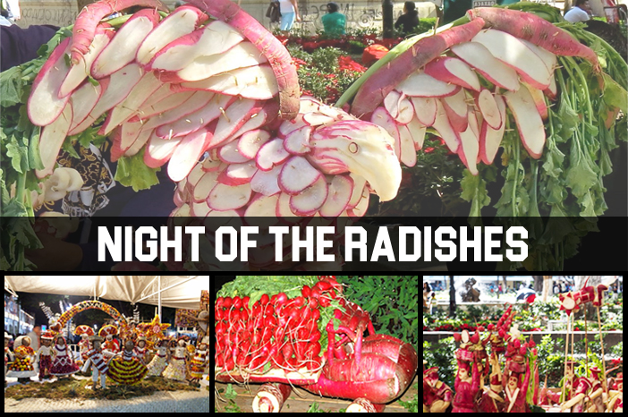 Night of Raddish festival