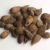 Ethiopian Cardamom Seeds Benefits