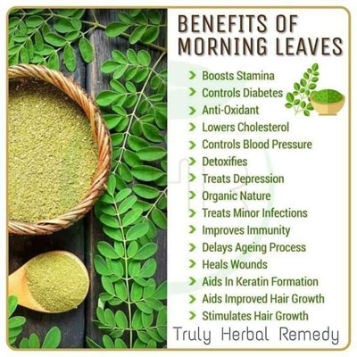 moringa-leaves-benefits