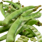Beans Health Properties