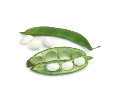 Lima beans -Facts and benefits