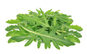 Arugula