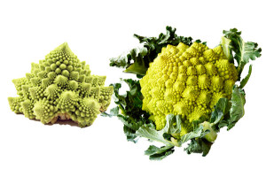 Broccoflower