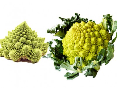 Brocco Flower | Health , Nutritions