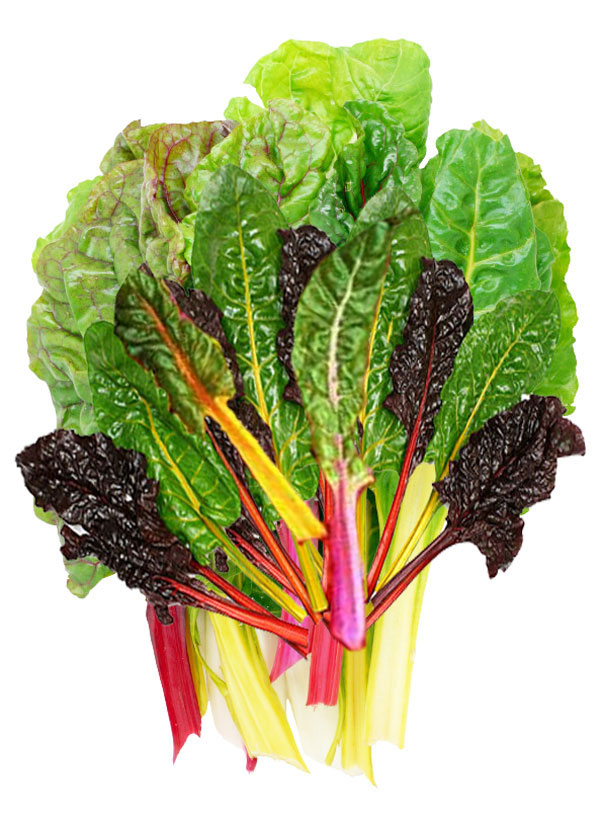 Chard