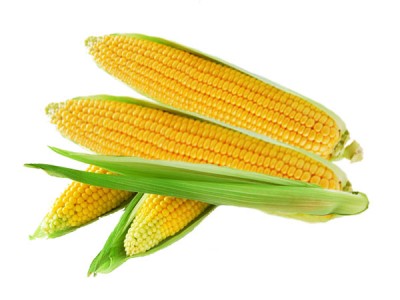 Corn Nutrition Facts and Health Benefits