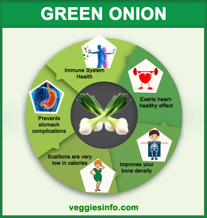 green-onion-nutrition-guide-health-information-veggies-info