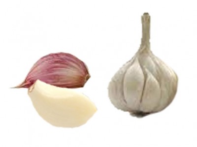 Garlic | Health Properties and Nutrition Facts
