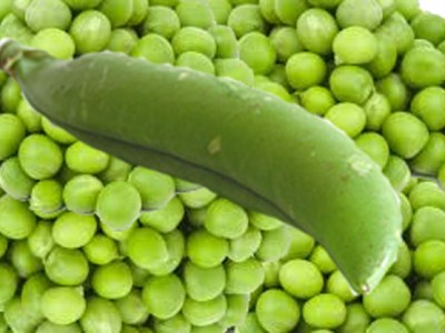 Health Benefits Of Green Peas Consumption