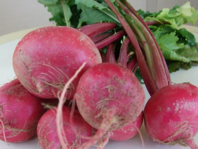 Turnips -Benefits and Nutritional value