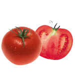 Tomato