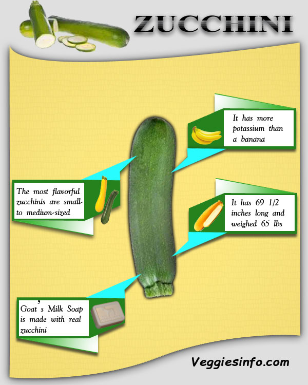 Zucchini