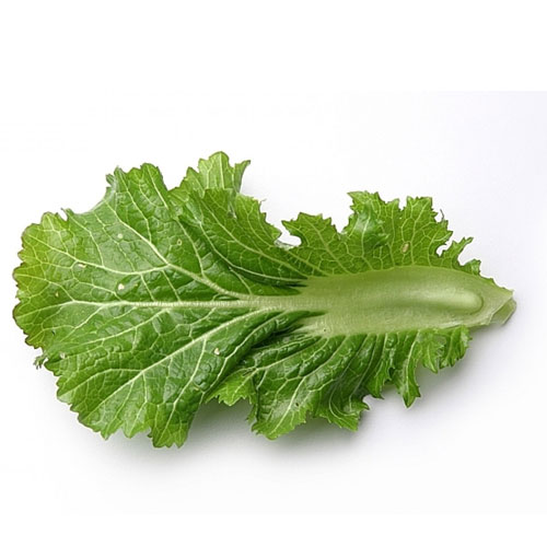 mustard-greens-nutrition-and-beneficial-properties-veggies-info