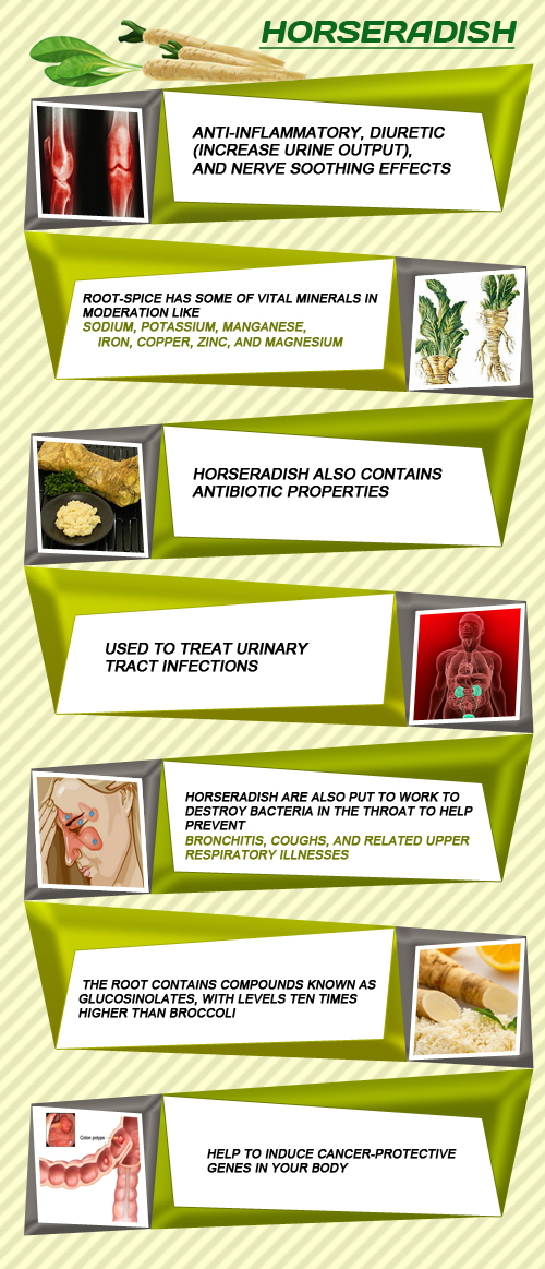 Horse Radish health benefits