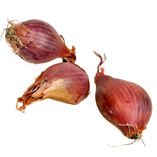 Shallot Nutrition Guide And Health Properties Veggies Info