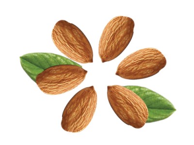 Almond Nuts Beneficial Properties & Health Facts