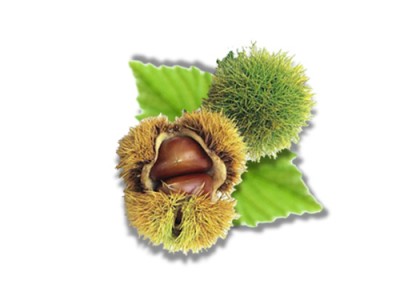 Chestnuts Nutrition Values and Health Facts
