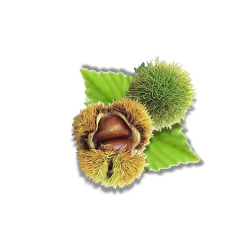 Chestnuts Nutrition Values and Health Facts