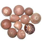 Classical Areca Nuts