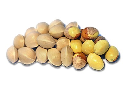 Ginko Nuts Beneficial Properties and Health Facts
