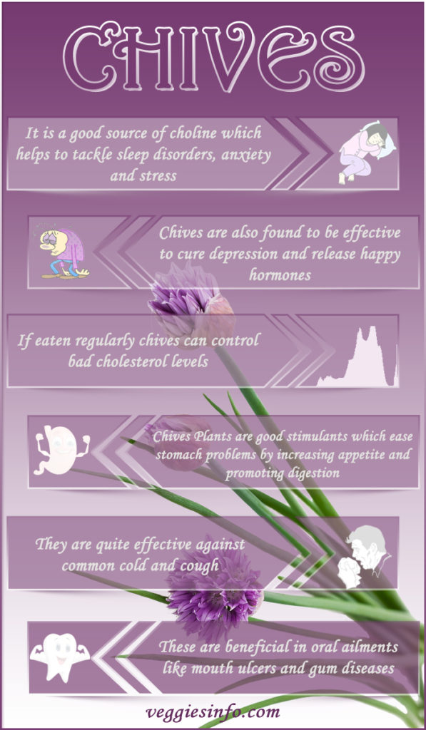 Chives Plant LongAwaited Health Benefits And Medicinal Uses Veggies Info