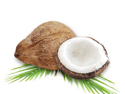 Coconut Food Source and Its Health Benefits