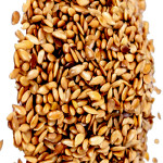Oily Sesame Seeds