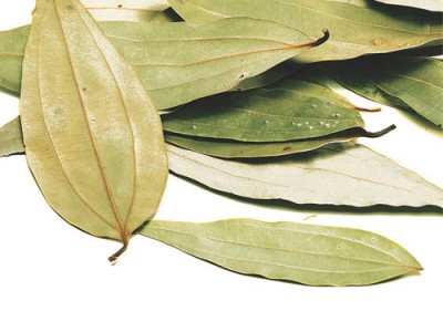 The Undiscovered Healthy Side of Bay Leaves!
