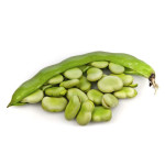 Various Uses Of Fava Beans