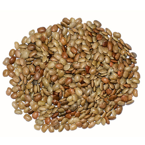 Horsegram Health Benefits And Its Various uses