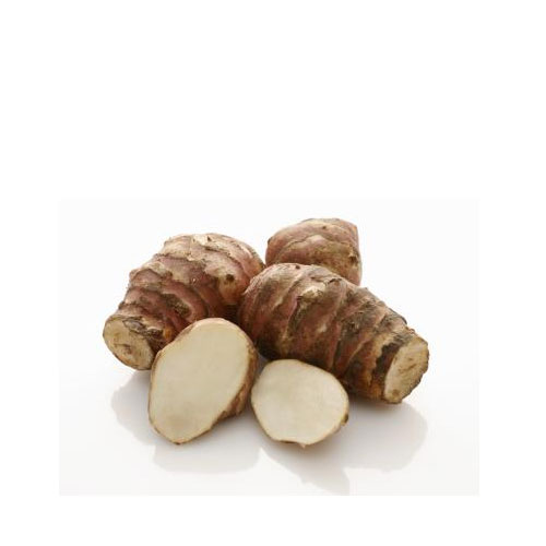 Jerusalem Artichoke Root Vegetable Medicinal Uses Veggies Info