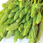 Properties Of Prussian Asparagus 