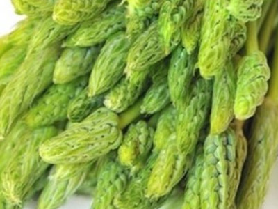 Prussian Asparagus Properties And its Health Benefits