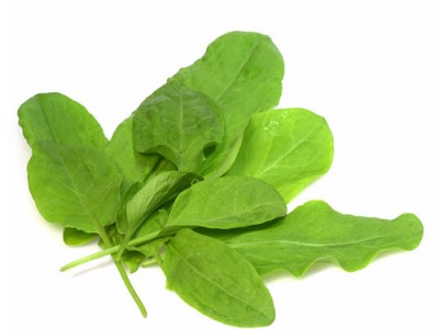 Sorrel Medicinal Values And Its Side Effects