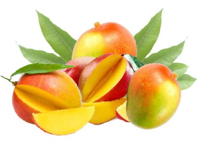 Bush Mango Nuts Nutritional Ingredients And Uses