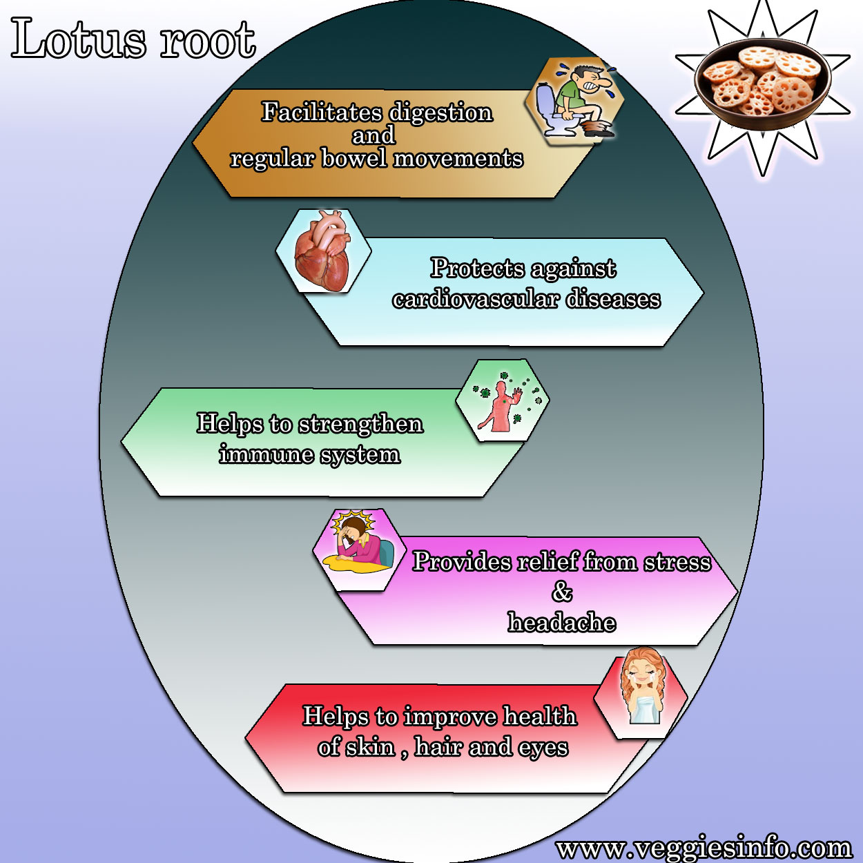 Lotus Root uses And Its Health Benefits Veggies Info